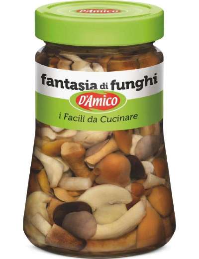 D AMICO FANTASIA DI FUNGHI G.580